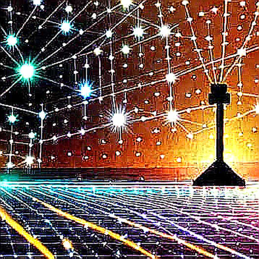 The $657 Million Trap: Why Smart Money Is Betting Against the Obvious